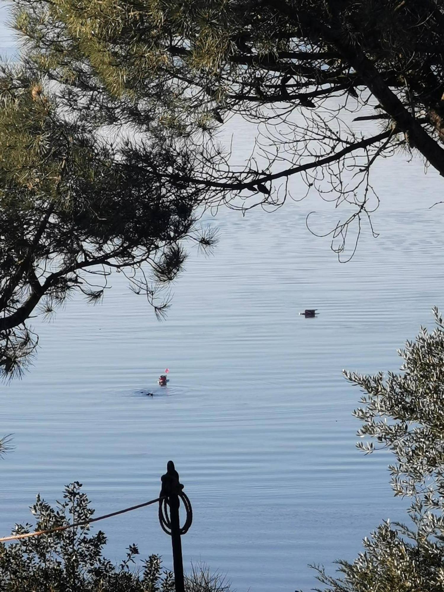 Les Pieds Dans L'Eau Apartamento Saint-Malo Exterior foto